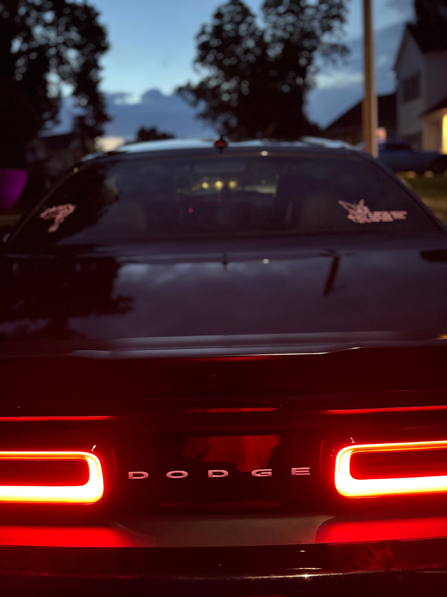 Luxury Car Detailing Service